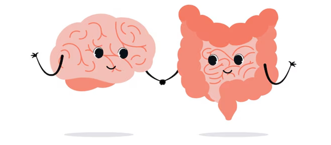 The Second Brain in the Therapy Room: Gut Matters for Your Child’s Movement, Behaviour, and Regulation